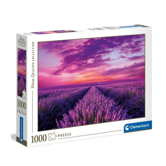 Lavender Field