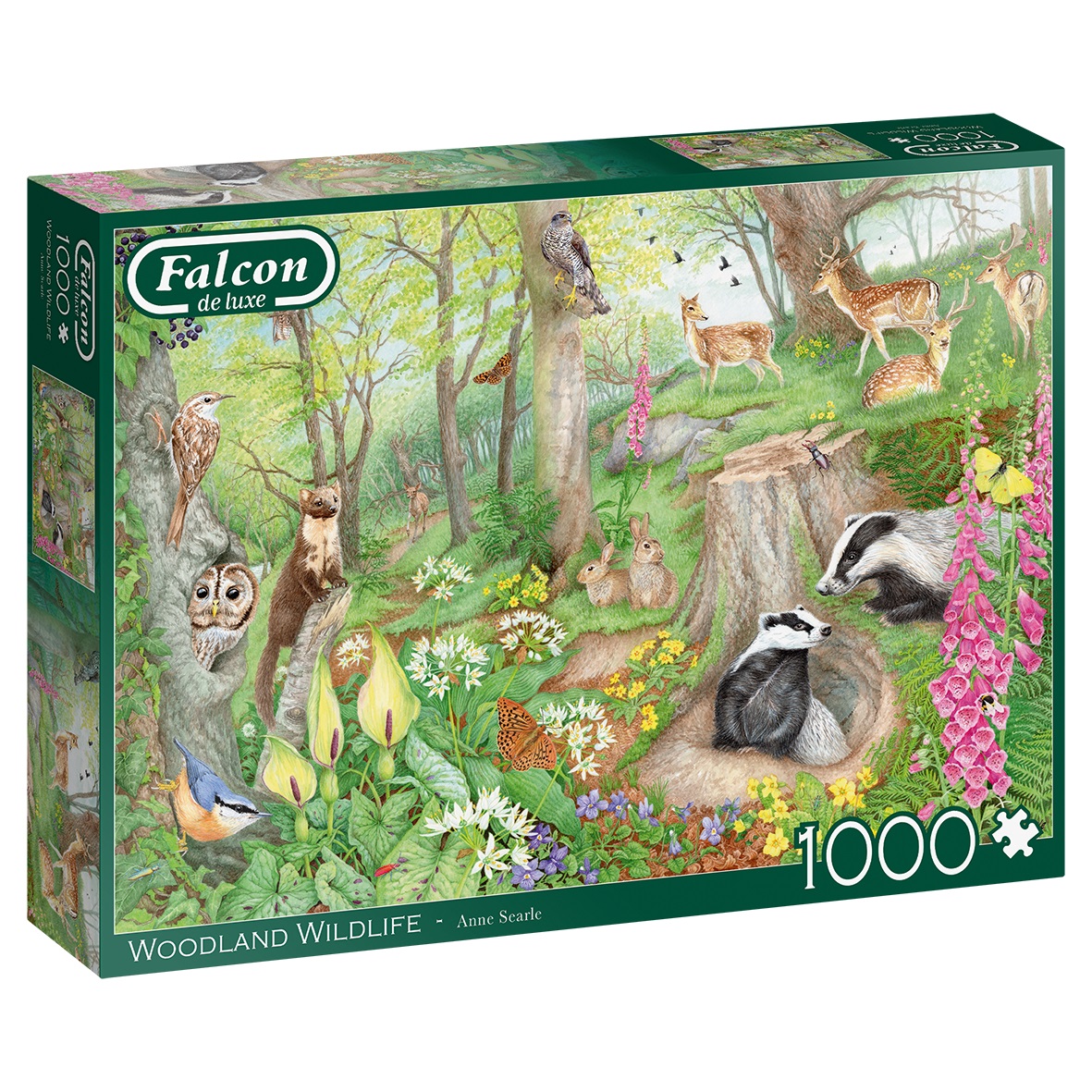 FALCON - Woodland Wildlife