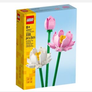 BOTANICAL COLLECTION - Fiori di loto
