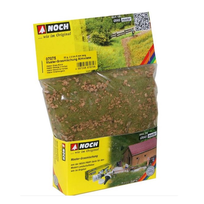 NOCH - PRATO ALPINO