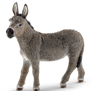 SCHLEICH - ASINO