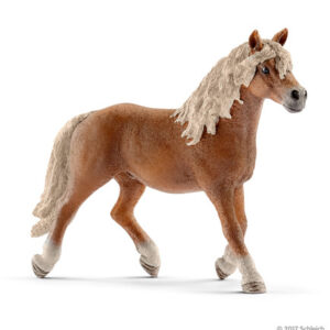 SCHLEICH - STALLONE AVELIGNESE