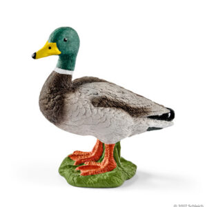 SCHLEICH - MASCHIO DI ANATRA