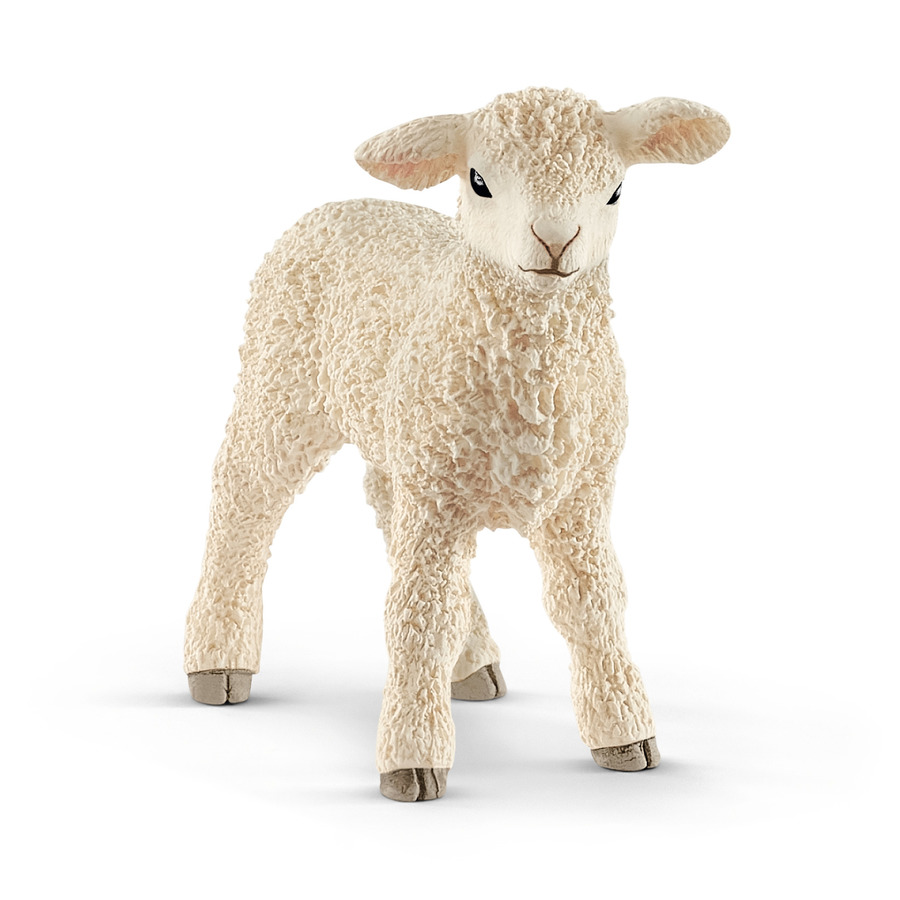 SCHLEICH - AGNELLO