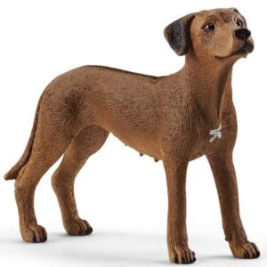 SCHLEICH - RHODESIAN RIDGEBACK