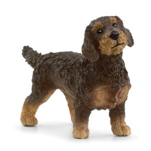 SCHLEICH - BASSOTTO A PELO RUVIDO