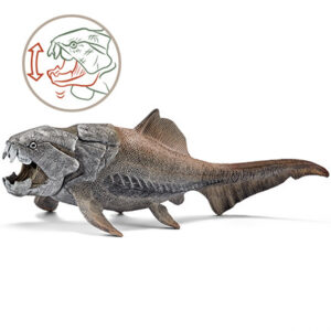DUNKLEOSTEUS