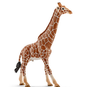 SCHLEICH - GIRAFFA MASCHIO