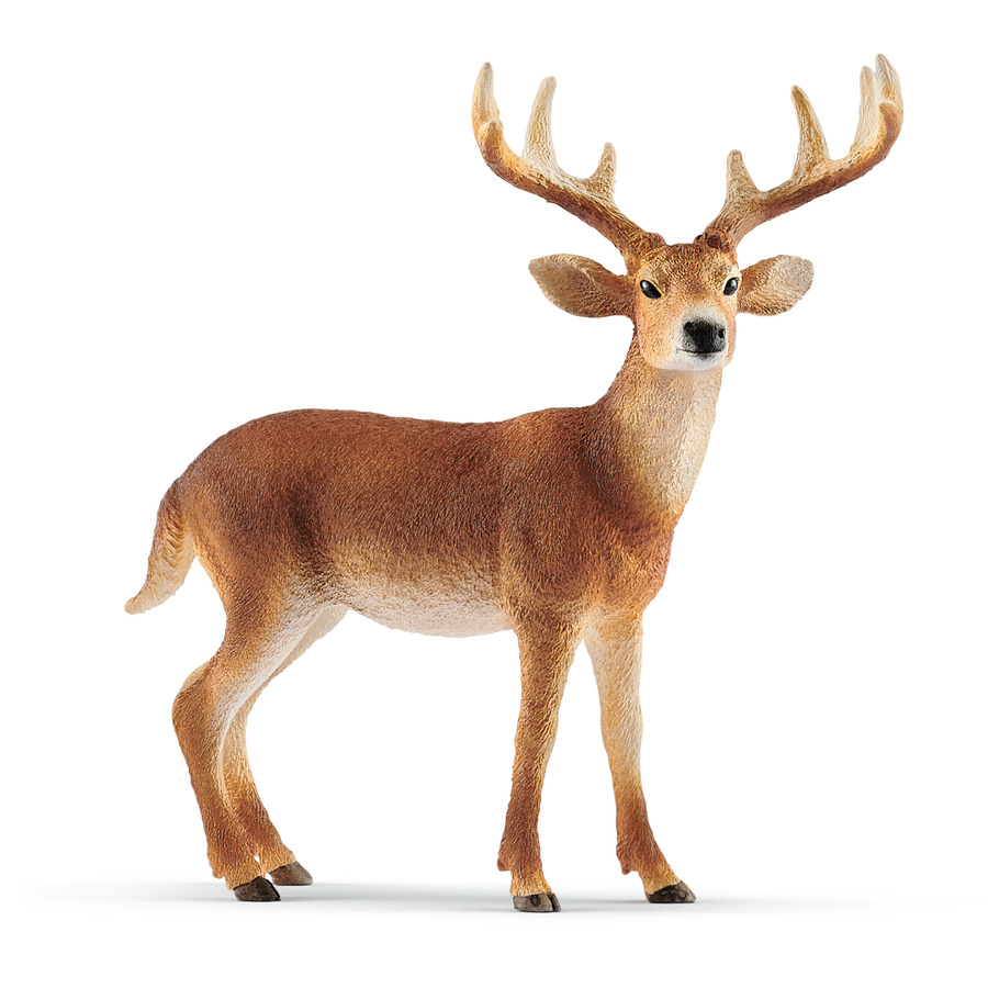 SCHLEICH - CERVO VIRGINIANO