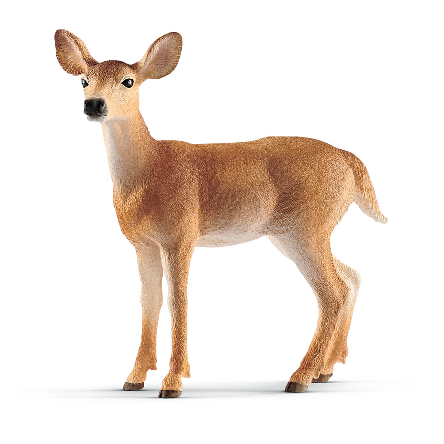 SCHLEICH - FEMMINA DI CERVO VIRGINIANO