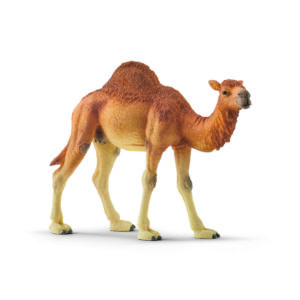 SCHLEICH - DROMEDARIO