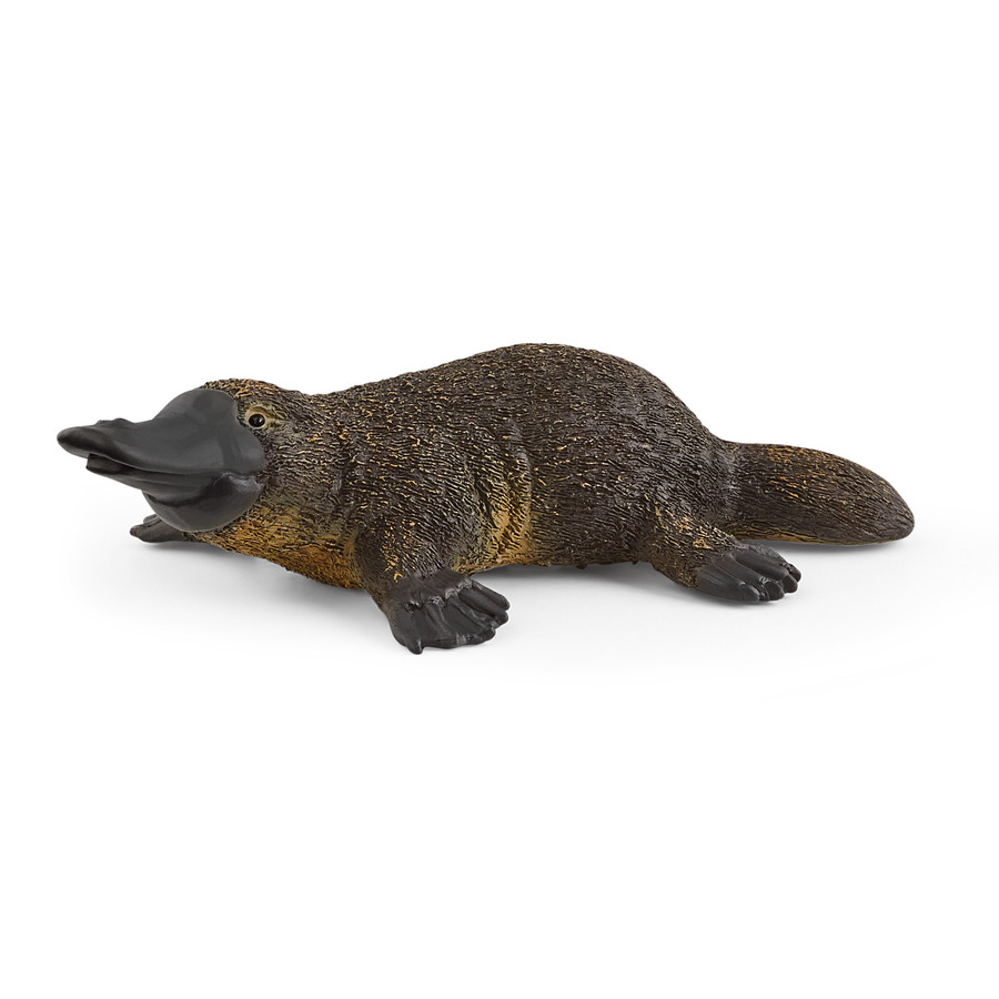 SCHLEICH - ORNITORINCO