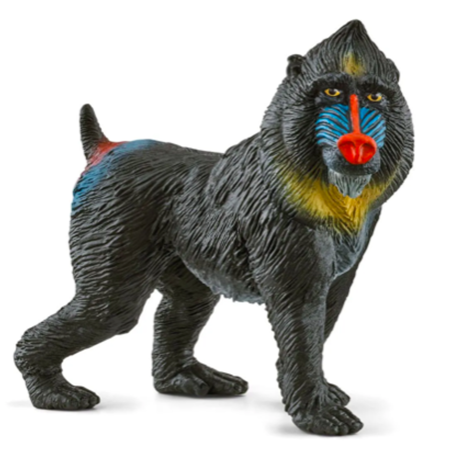 SCHLEICH - MANDRILLO