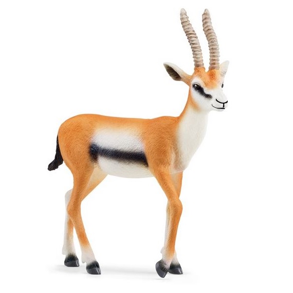 SCHLEICH - GAZZELLA THOMSON