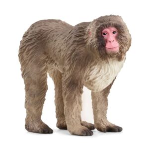 SCHLEICH - MACACO GIAPPONESE