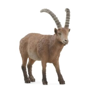 SCHLEICH - STAMBECCO