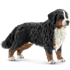 SCHLEICH - BOVARO BERNESE FEMMINA