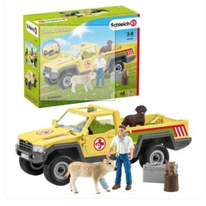 PICK UP DEL VETERINARIO
