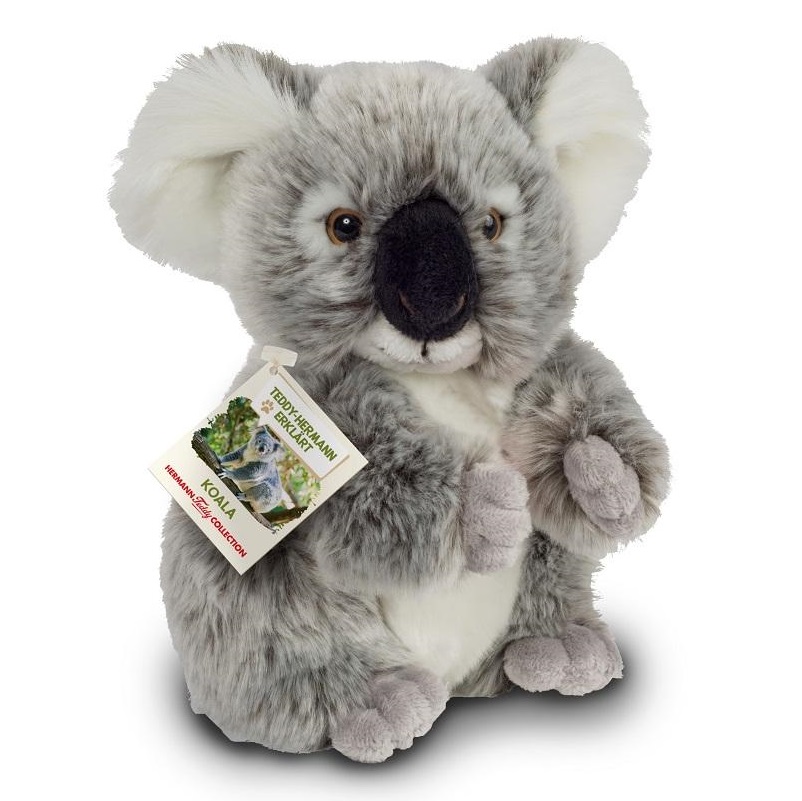 TEDDY - KOALA SEDUTO 21 CM