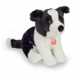 TEDDY - BORDER COLLIE CM 25