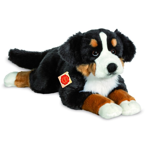TEDDY - Bovaro del Bernese sdraiato 60 cm