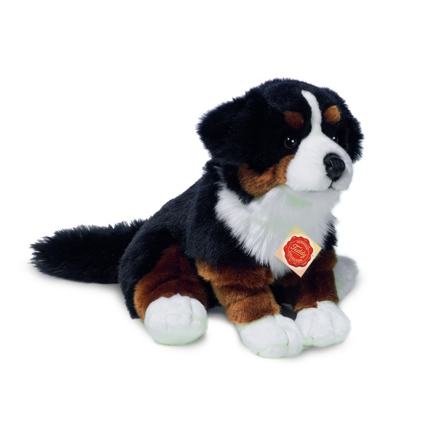 TEDDY - Bovaro del Bernese seduto 29 cm