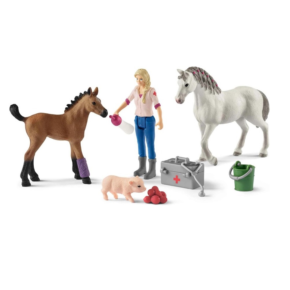 VETERINARIA CON PULEDRO E CAVALLO