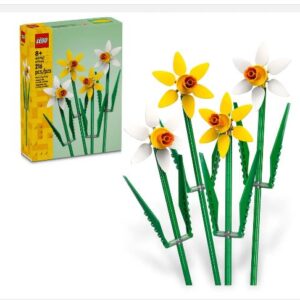 BOTANICAL COLLECTION - Narcisi