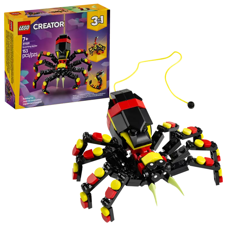 CREATOR - Animali selvatici: ragno trasformista